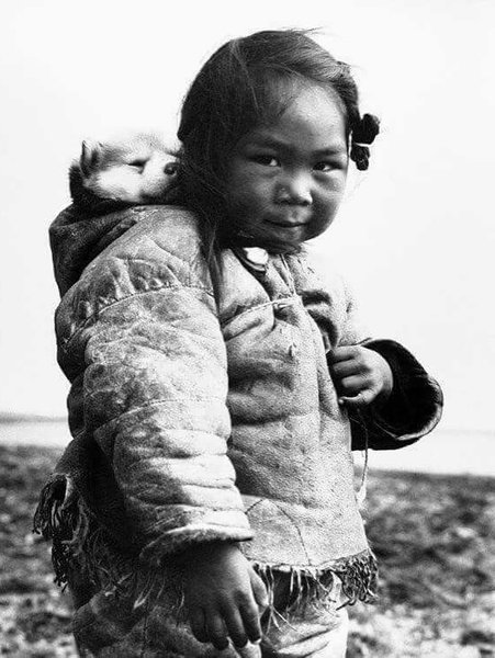 Thumbnail of p-dnv0a1sors2-40bcc0faba504364 4