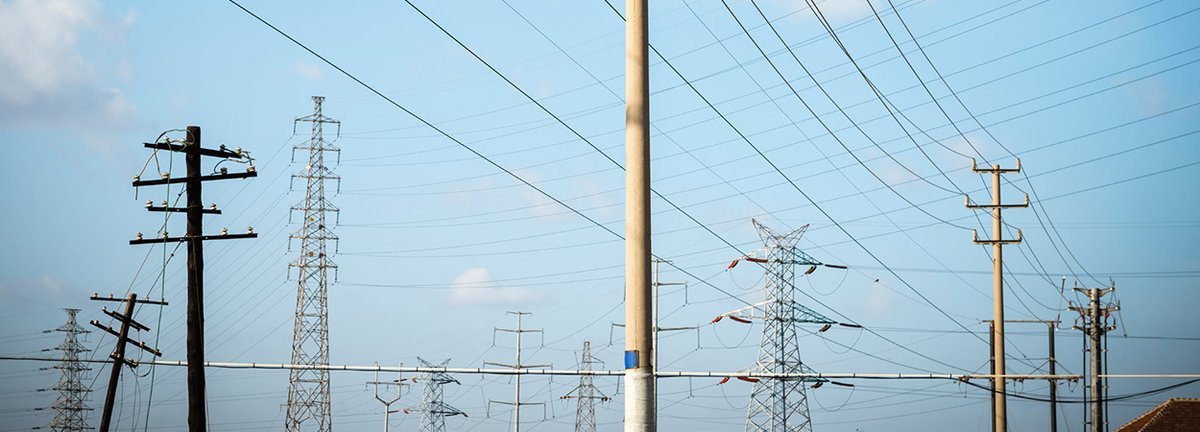 Thumbnail of www-x-com-photobiogenesis-status-1826331017902244128-40c28c4ef3674fe2