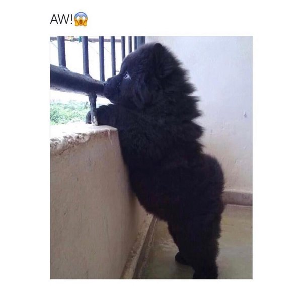 Thumbnail of p-bojrpftbxta-40eb3a31830f43dc 0