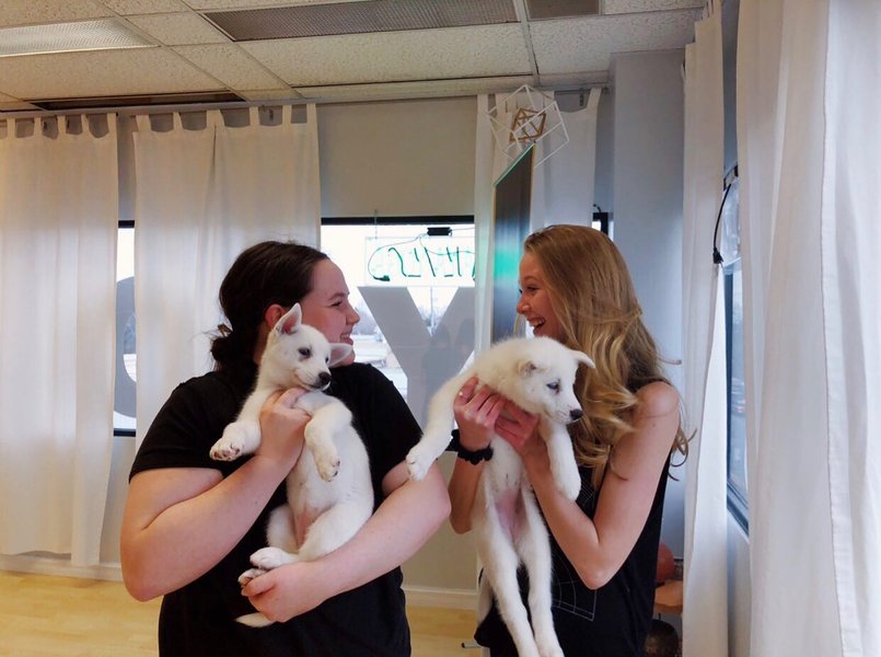 Thumbnail of p-b06shv8a4vh-4105fc490407438f 0