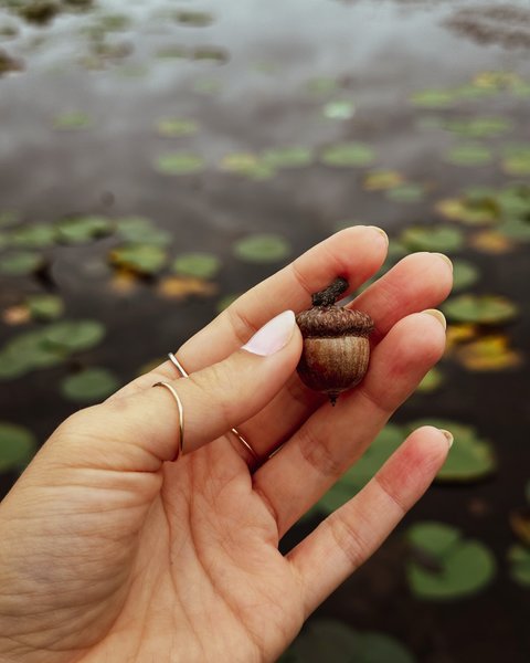 Thumbnail of dafcsdks-bv-411762f0fcdb4e7b 1