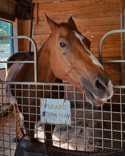 Thumbnail of dafcsdks-bv-411762f0fcdb4e7b 11