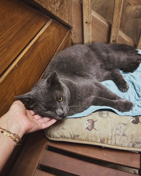 Thumbnail of dafcsdks-bv-411762f0fcdb4e7b 12