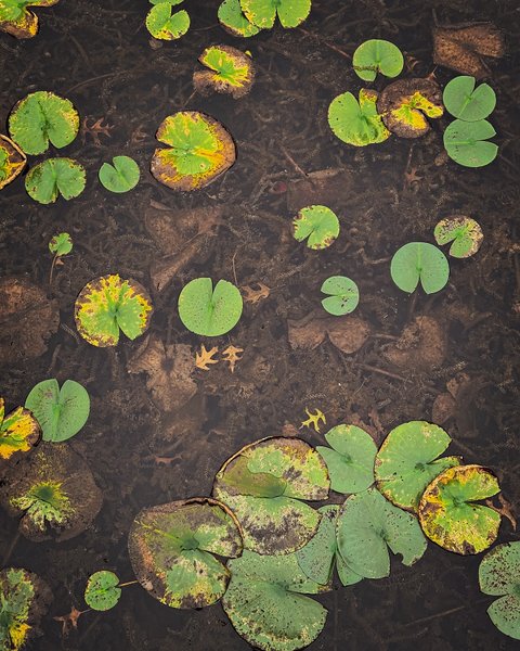 Thumbnail of dafcsdks-bv-411762f0fcdb4e7b 2