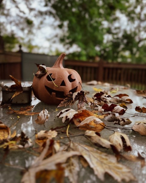 Thumbnail of dafcsdks-bv-411762f0fcdb4e7b 7