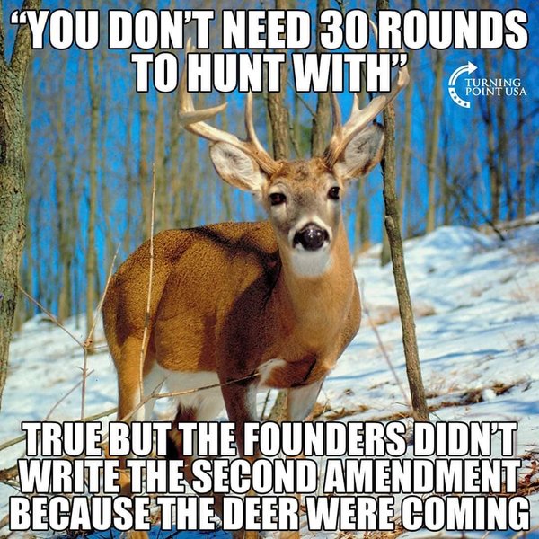 Thumbnail of p-b9nji8egx9k-4182a2297c0f40c7 0