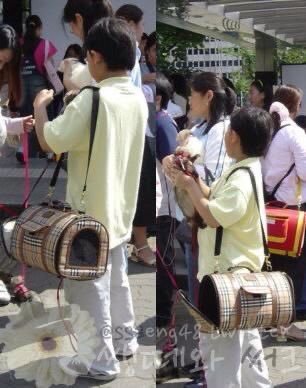 Thumbnail of www-x-com-loeymarie-status-1846934704999879113-4196eb1036034a15