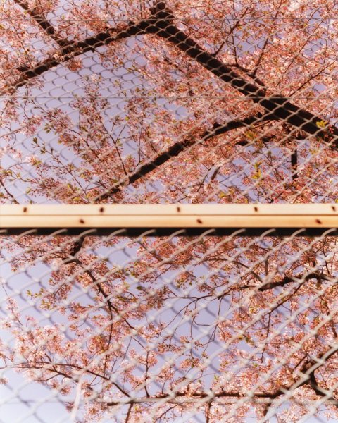 Thumbnail of p-c3muu7as0q3-41ad9844268d4c24 0