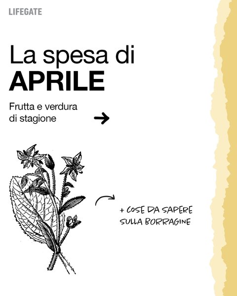 Thumbnail of dh3-tzwqwhz-41b16670a15e461a 0