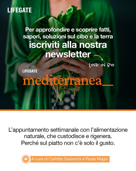 Thumbnail of dh3-tzwqwhz-41b16670a15e461a 10