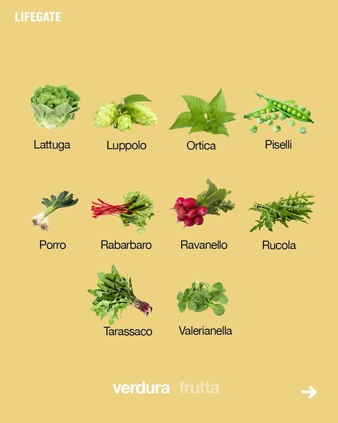 Thumbnail of dh3-tzwqwhz-41b16670a15e461a 2