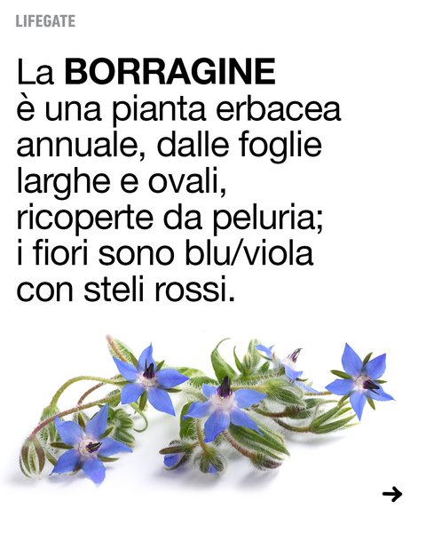 Thumbnail of dh3-tzwqwhz-41b16670a15e461a 4