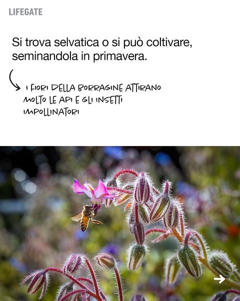 Thumbnail of dh3-tzwqwhz-41b16670a15e461a 5