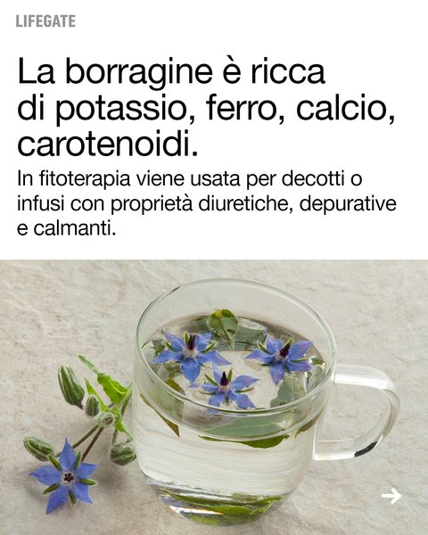 Thumbnail of dh3-tzwqwhz-41b16670a15e461a 6