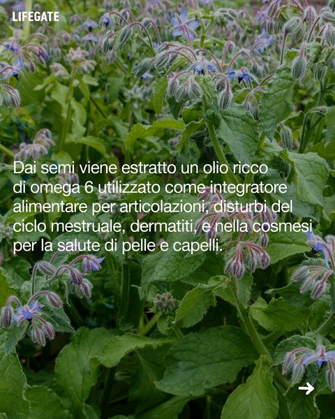 Thumbnail of dh3-tzwqwhz-41b16670a15e461a 7