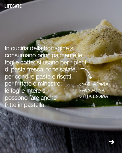 Thumbnail of dh3-tzwqwhz-41b16670a15e461a 8