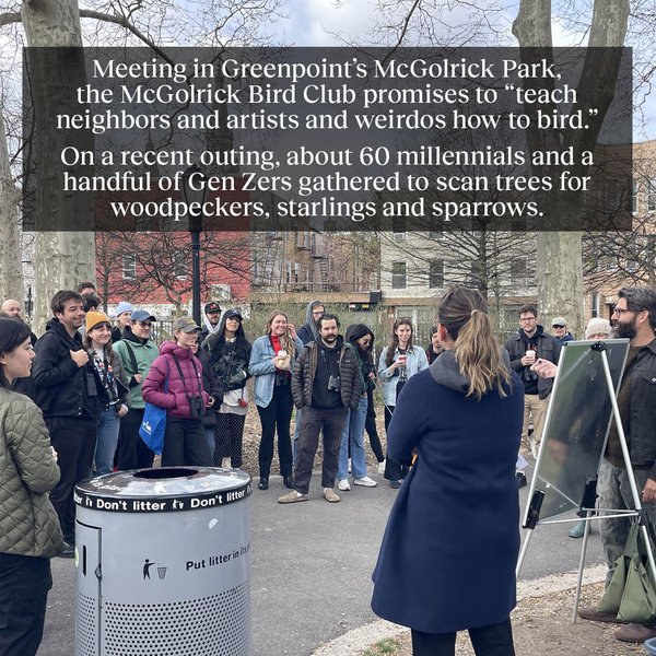 Thumbnail of c6w7e1wu2-u-41b23676921644d8 1