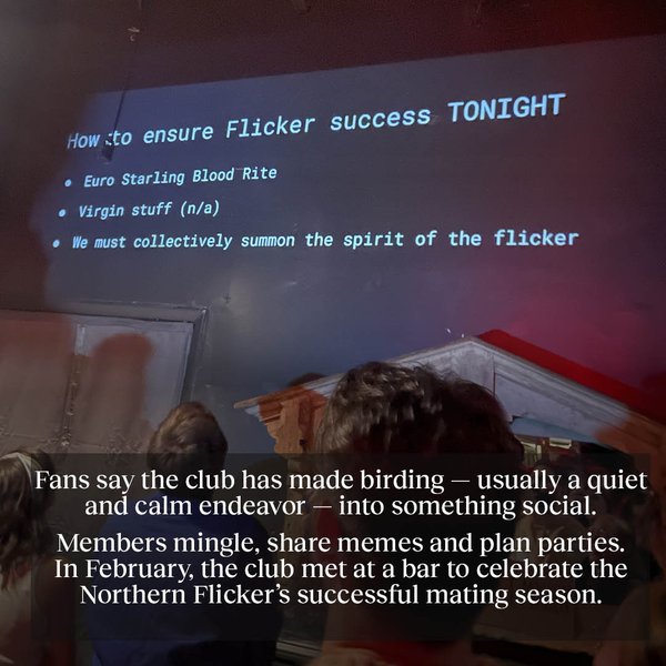 Thumbnail of c6w7e1wu2-u-41b23676921644d8 2