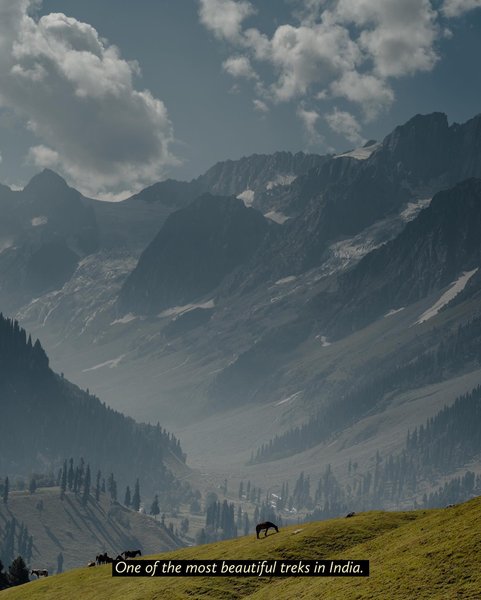 Thumbnail of p-cxofrpziypc-41c8040115fa41b1 1