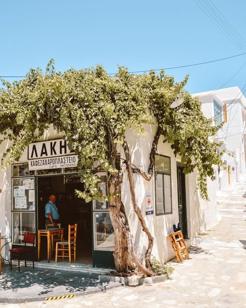 Thumbnail of p-cdlget6nmh8-423bba997ffa45e3 0