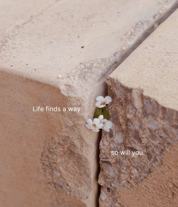 Thumbnail of www-x-com-buysidebob-status-1986160016219341021