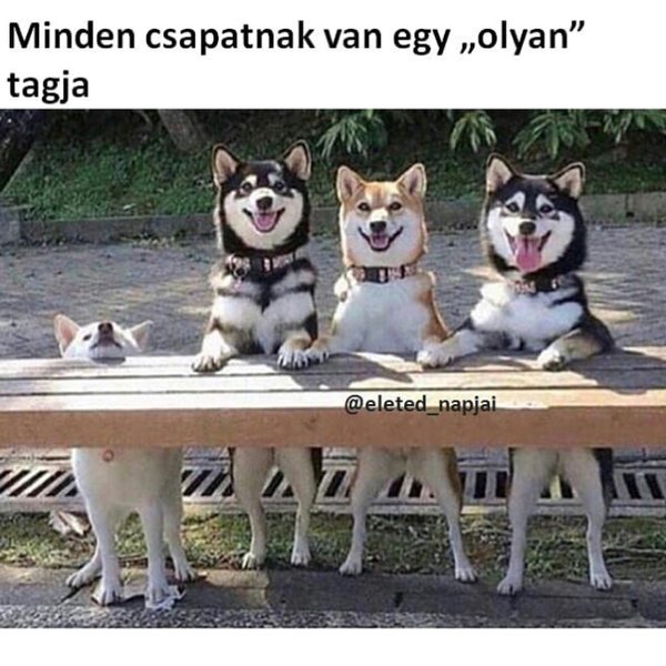 Thumbnail of p-bkqdt9qlp27-42b5f0ae6e0f41db 1