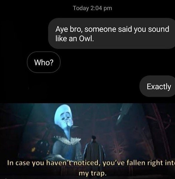 Thumbnail of p-b4rxdnzaiw-437db7799c2f4b0c 3