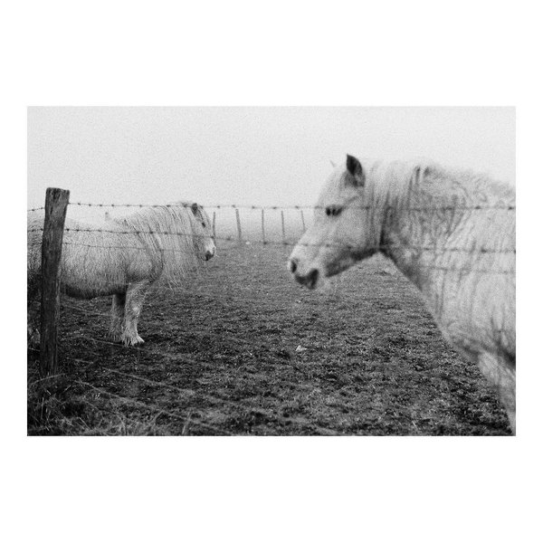 Thumbnail of bk1sn7xfo-q-437e0537fd244ac7 0