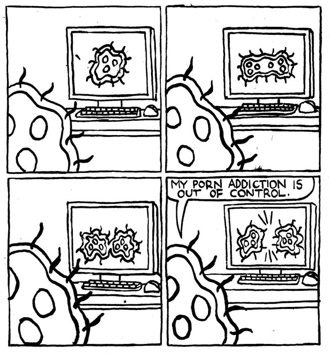 Thumbnail of www-x-com-hausofdecline-status-1899837894870606143-43934ebe39484355