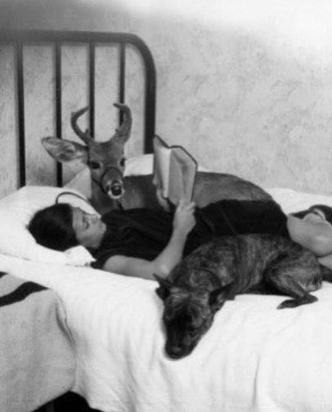 Thumbnail of p-c1fpz4mor8p-43c75da4c4e24317 6