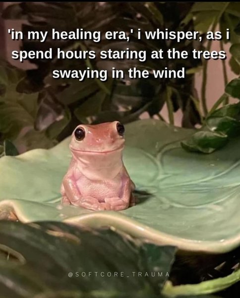 Thumbnail of p-c1fpz4mor8p-43c75da4c4e24317 7