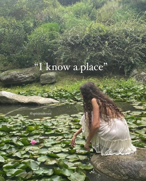 Thumbnail of p-c1fpz4mor8p-43c75da4c4e24317 9