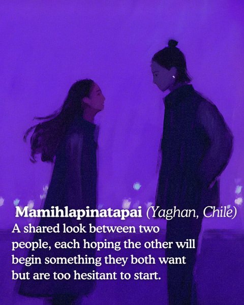 Thumbnail of p-dq7ijwochpv-43c8f147d91c4063 5