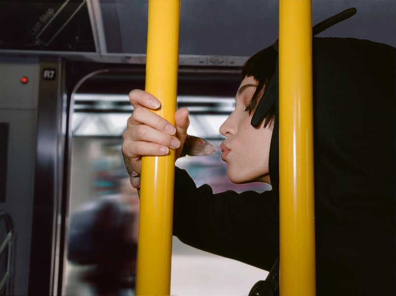 Thumbnail of p-c3rjkdar4k-43d5cf6c540445a9 0