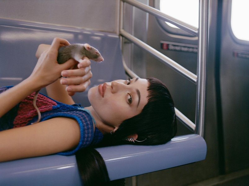 Thumbnail of p-c3rjkdar4k-43d5cf6c540445a9 2