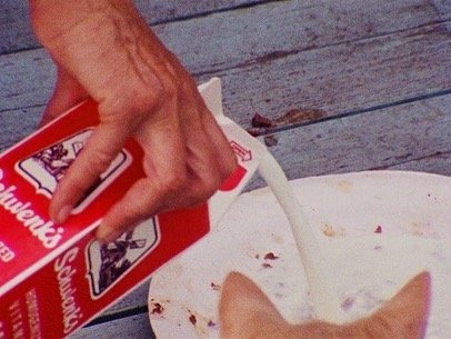 Thumbnail of cfmo-krowd1-4406b108dbfa4737 6