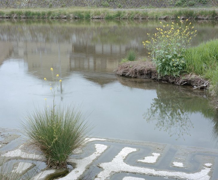 Thumbnail of cdibvdepo-a-442943f8332340ea 0