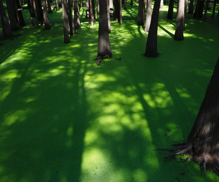 Thumbnail of p-dkcvo7nieja-4460c1845de242dd 0