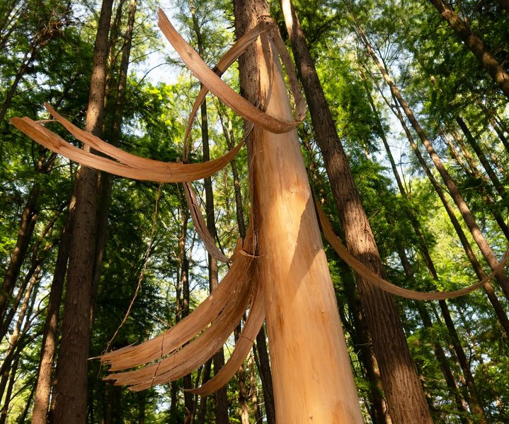 Thumbnail of p-dkcvo7nieja-4460c1845de242dd 10