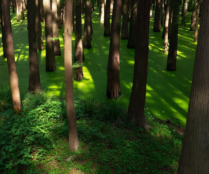 Thumbnail of p-dkcvo7nieja-4460c1845de242dd 2