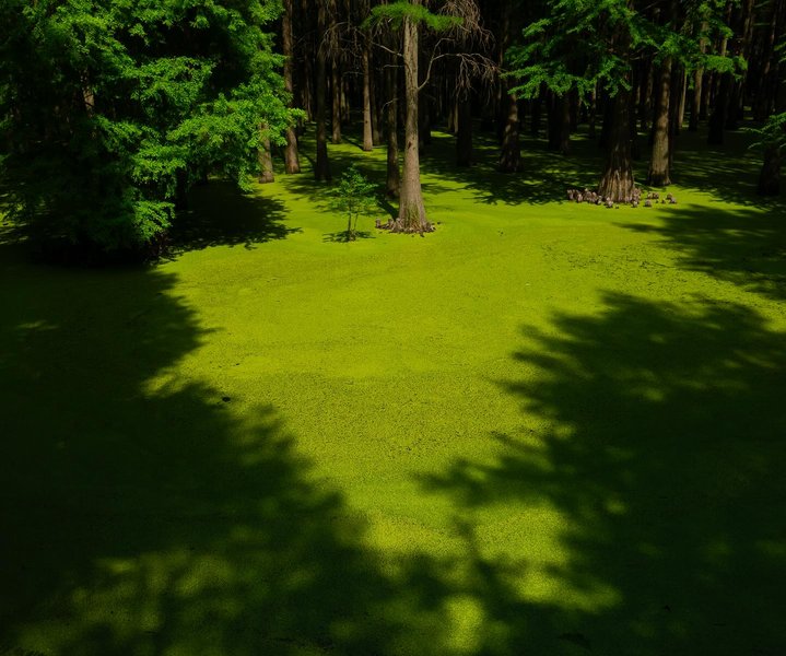 Thumbnail of p-dkcvo7nieja-4460c1845de242dd 3