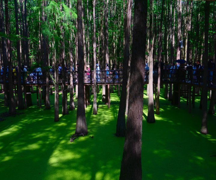 Thumbnail of p-dkcvo7nieja-4460c1845de242dd 5