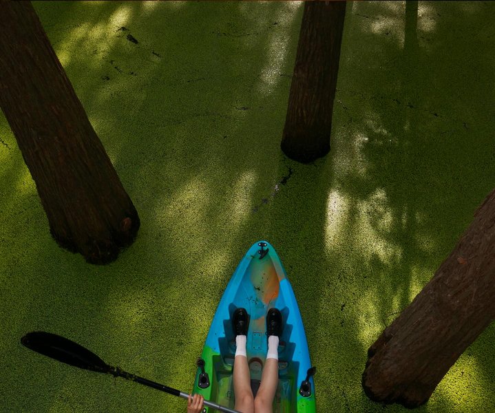 Thumbnail of p-dkcvo7nieja-4460c1845de242dd 6