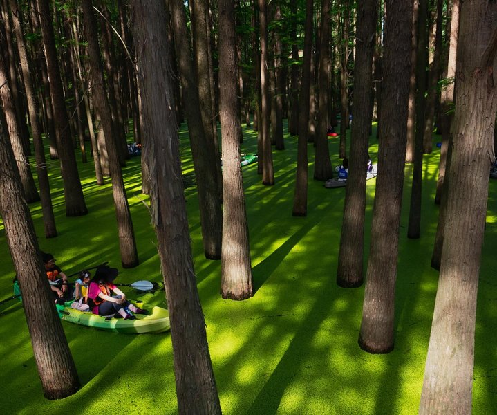 Thumbnail of p-dkcvo7nieja-4460c1845de242dd 7