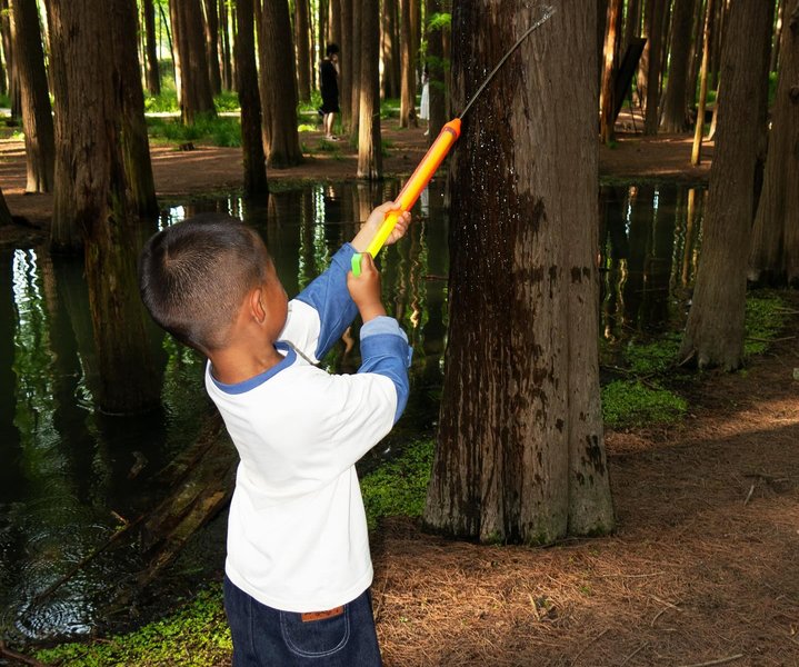 Thumbnail of p-dkcvo7nieja-4460c1845de242dd 8