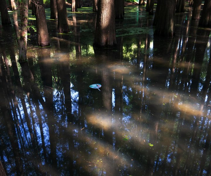 Thumbnail of p-dkcvo7nieja-4460c1845de242dd 9