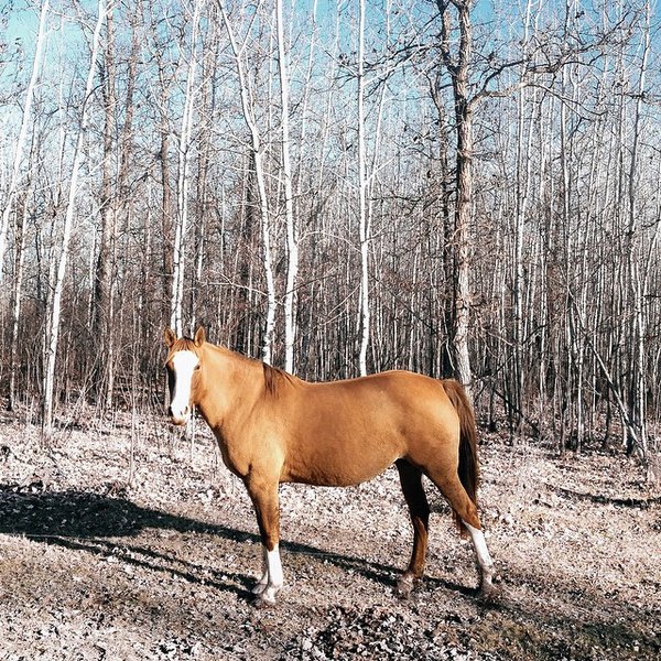 Thumbnail of p-0dbqk5jfp8-44b6bd4bdc164729 0