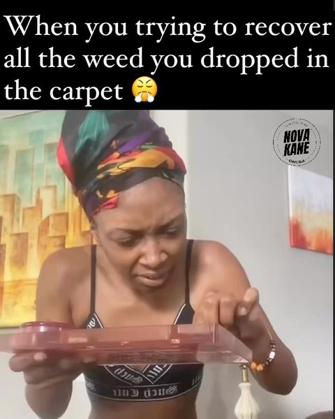 Thumbnail of p-dfli5efv8tu-44be0825056942aa 10