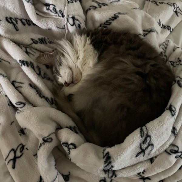 Thumbnail of p-cplqdkguz7s-453116b3524e4f4d 9