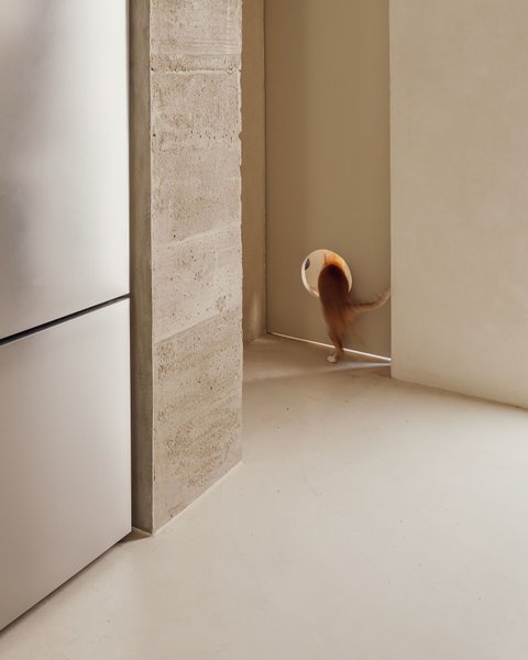 Thumbnail of p-djb0idimied-4538d3be5d104010 13